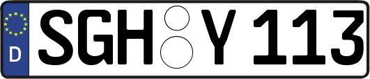 SGH-Y113