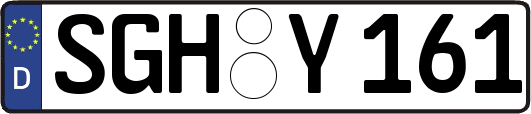 SGH-Y161