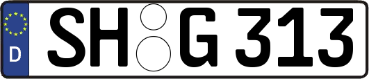 SH-G313