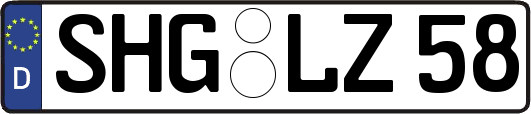 SHG-LZ58