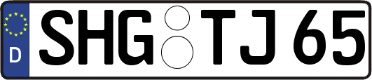 SHG-TJ65