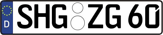 SHG-ZG60