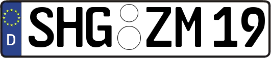 SHG-ZM19
