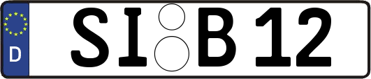 SI-B12