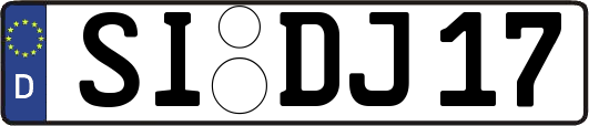 SI-DJ17