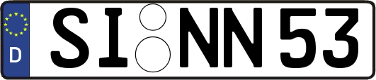 SI-NN53