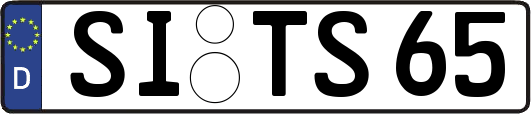 SI-TS65