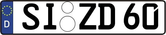 SI-ZD60