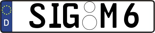 SIG-M6