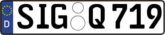 SIG-Q719