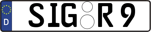SIG-R9
