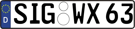 SIG-WX63