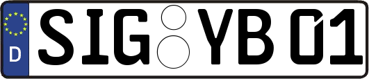 SIG-YB01
