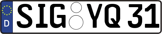 SIG-YQ31