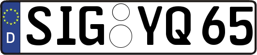 SIG-YQ65