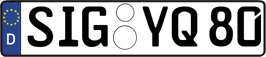 SIG-YQ80