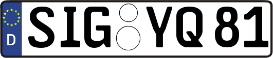 SIG-YQ81