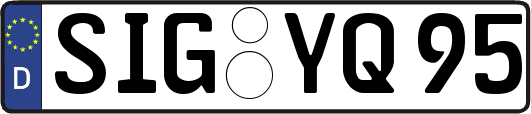 SIG-YQ95