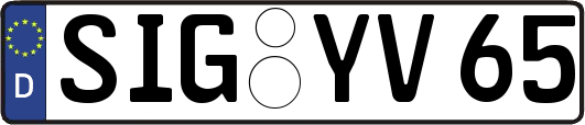 SIG-YV65
