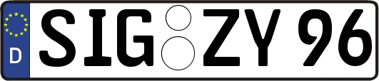 SIG-ZY96