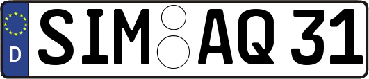 SIM-AQ31
