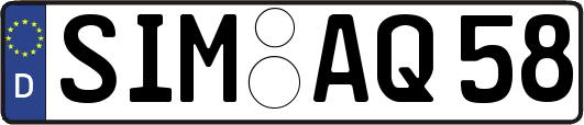SIM-AQ58