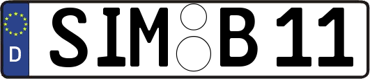 SIM-B11