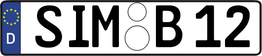 SIM-B12