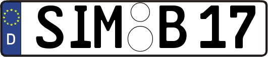SIM-B17
