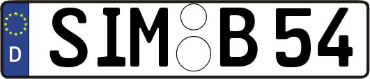 SIM-B54