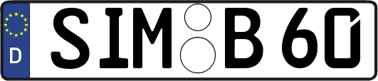 SIM-B60