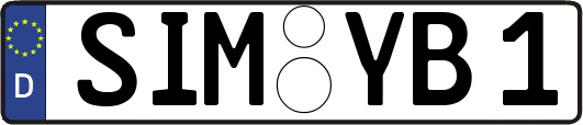 SIM-YB1