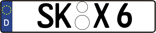 SK-X6