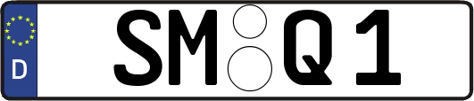 SM-Q1