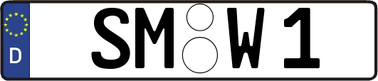 SM-W1