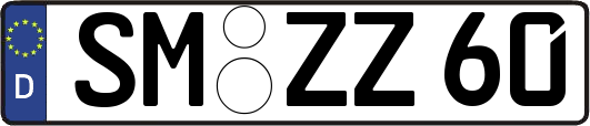 SM-ZZ60