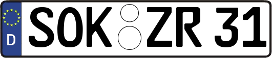 SOK-ZR31