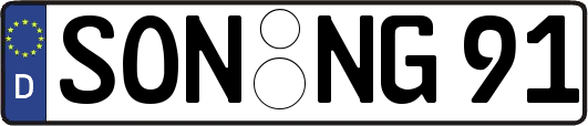 SON-NG91