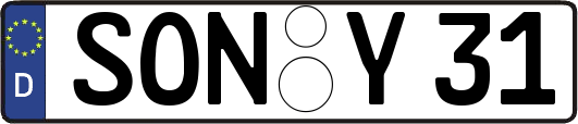 SON-Y31