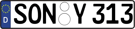 SON-Y313