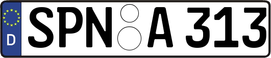 SPN-A313