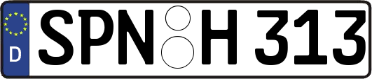 SPN-H313