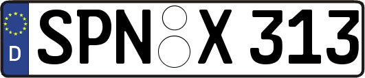 SPN-X313