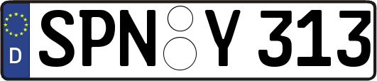 SPN-Y313