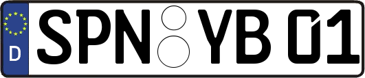 SPN-YB01