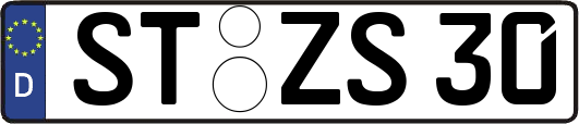 ST-ZS30