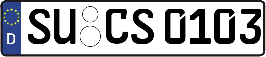 SU-CS0103