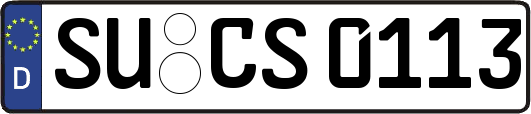 SU-CS0113