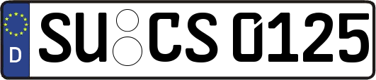 SU-CS0125