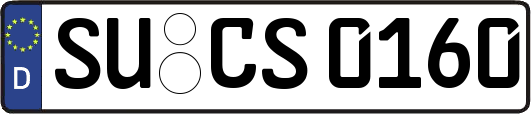 SU-CS0160
